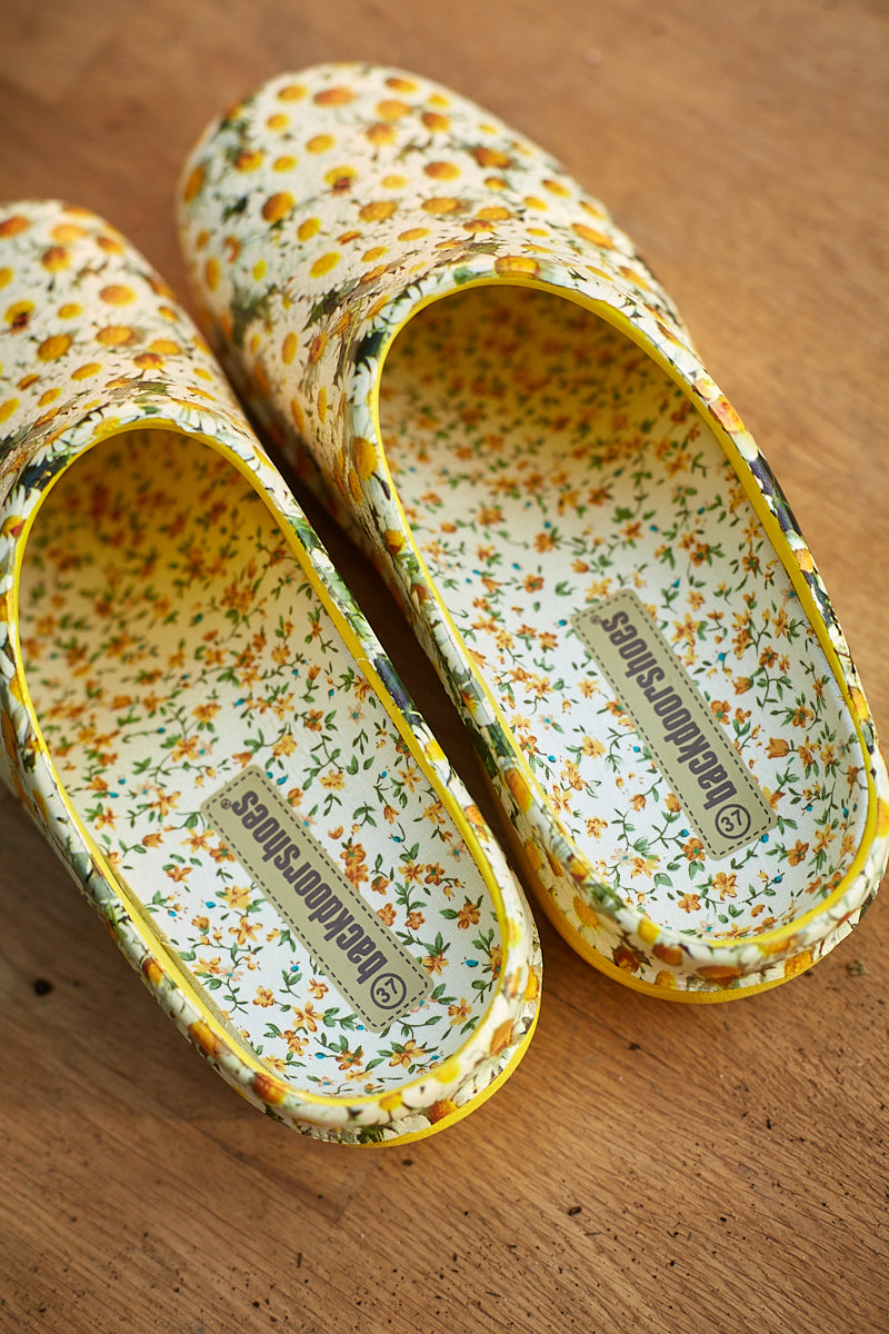 Havesko 'Daisy Lemon'